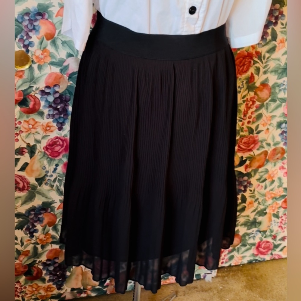 Alfani, black skirt, 2X